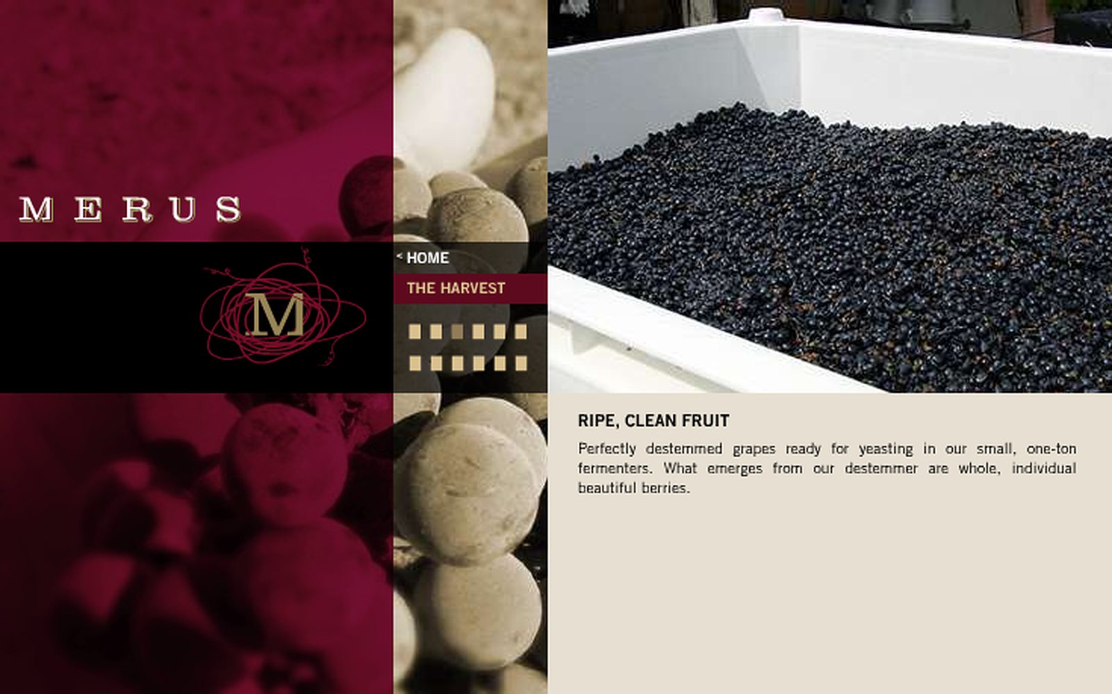 Merus Wines screenshot 1